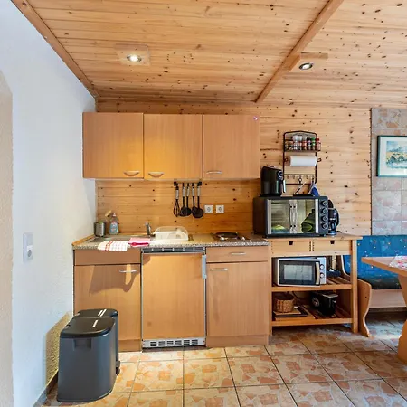 Studio Im Suedschwarzwald Apartment
